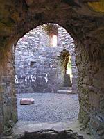 Irlande - Co Kerry - Killarney - Aghadoe - Parkavonear Castle (2)